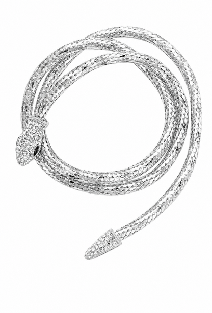 The Theda Serpent Lariat Necklace – Palladium