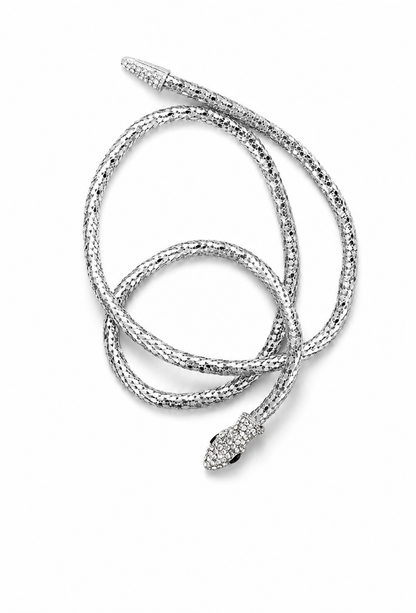 The Theda Serpent Lariat Necklace – Palladium